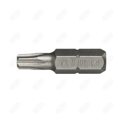 TORX GROTY T30 10 SZT LUNA