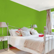 FARBA LATEKSOWA PLAMOODPORNA EFFECT ZIELONY WYRAZISTY 43 2,5L DEKORAL