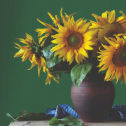 FARBA LATEKSOWA PLAMOODPORNA EFFECT ZIELONY BUTELKOWY 49 2,5L DEKORAL