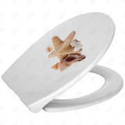 Deska sedesowa Duschy Shell Lux wielokolorowy duroplast