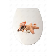 Deska sedesowa Duschy Shell Lux wielokolorowy duroplast