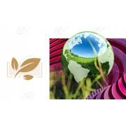 Farba lateksowa ścienna Magnat LOVE 5 l KL31 PASTELOWY RÓŻ