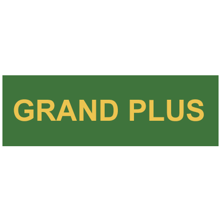 GRAND PLUS